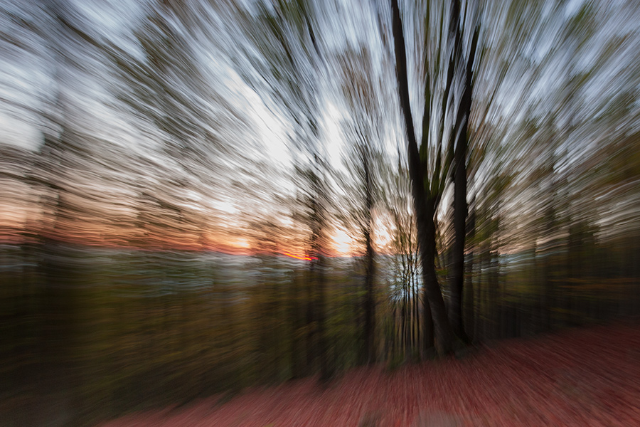 Herbstlicher Wald
