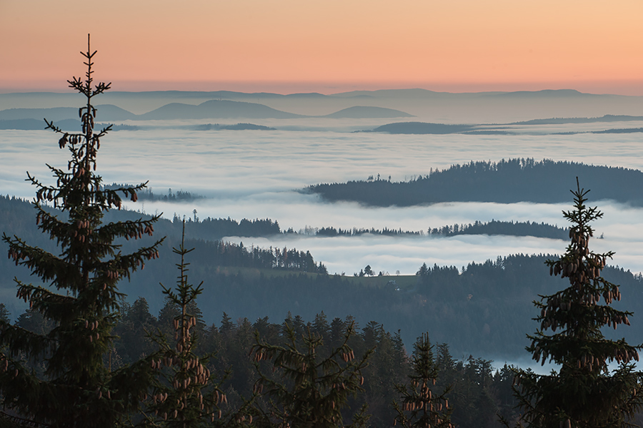 Abendstimmung im Schwarzwald mit Blick nach Westen