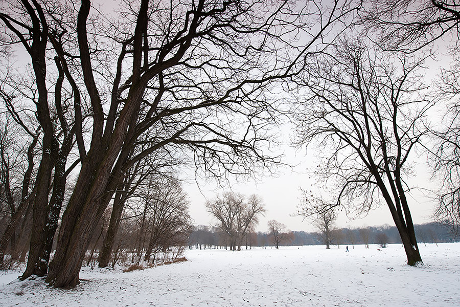 München - Englischer Garten